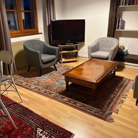 Appartement Authentique Centre Historique Colmar Ngoại thất bức ảnh